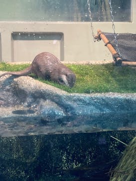 サンシャイン水族館に投稿された画像（2022/12/29）