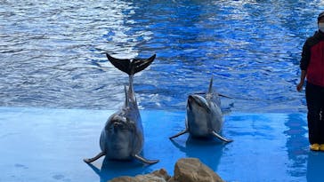 名古屋港水族館に投稿された画像（2022/12/29）