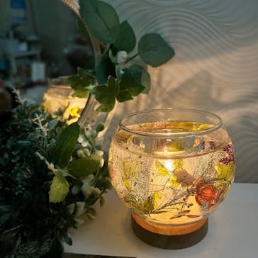 ずこうしつ〜sugamo〜に投稿された画像（2022/12/29）