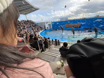 仙台うみの杜水族館に投稿された画像（2022/12/29）