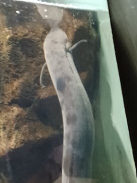 サンシャイン水族館に投稿された画像（2022/12/29）