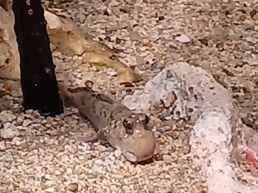 サンシャイン水族館に投稿された画像（2022/12/29）