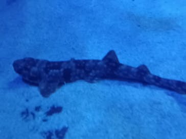 サンシャイン水族館に投稿された画像（2022/12/29）