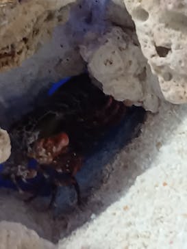 サンシャイン水族館に投稿された画像（2022/12/29）