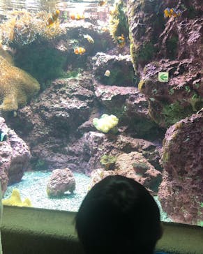 サンシャイン水族館に投稿された画像（2022/12/29）