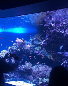 サンシャイン水族館に投稿された画像（2022/12/29）