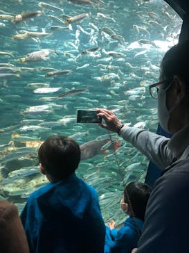 サンシャイン水族館に投稿された画像（2022/12/29）