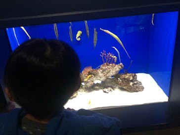 サンシャイン水族館に投稿された画像（2022/12/29）
