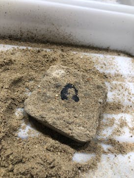 カワスイ 川崎⽔族館に投稿された画像（2022/12/29）