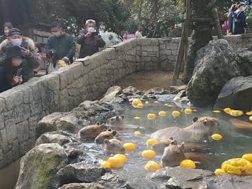 伊豆シャボテン動物公園に投稿された画像（2022/12/29）