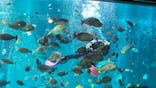 箱根園水族館に投稿された画像（2022/12/29）