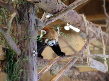 伊豆シャボテン動物公園に投稿された画像（2022/12/29）