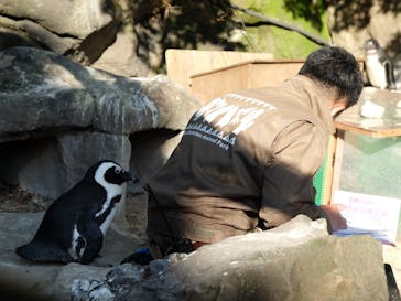伊豆シャボテン動物公園に投稿された画像（2022/12/29）