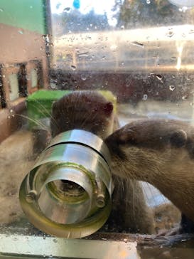 箱根園水族館に投稿された画像（2022/12/29）