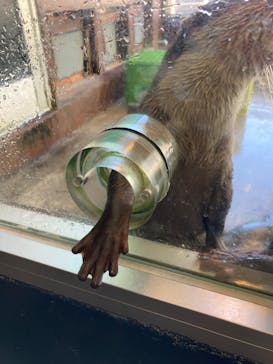 箱根園水族館に投稿された画像（2022/12/29）