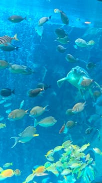箱根園水族館に投稿された画像（2022/12/29）