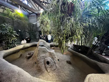 神戸どうぶつ王国に投稿された画像（2022/12/29）