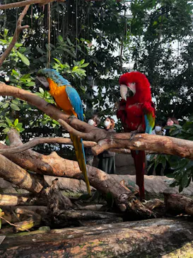 神戸どうぶつ王国に投稿された画像（2022/12/29）