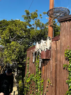 神戸どうぶつ王国に投稿された画像（2022/12/29）