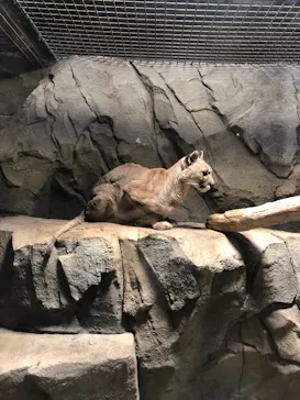 神戸どうぶつ王国に投稿された画像（2022/12/29）