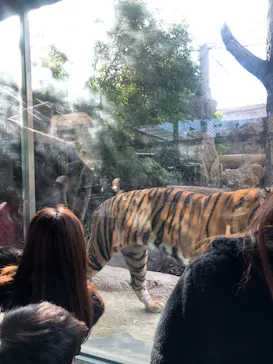 神戸どうぶつ王国に投稿された画像（2022/12/29）