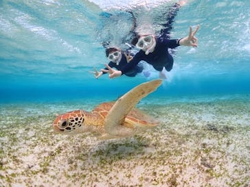 ちゃこたびに投稿された画像（2022/12/29）