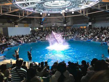 マクセル アクアパーク品川に投稿された画像（2022/12/29）