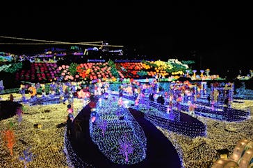 伊豆ぐらんぱる公園に投稿された画像（2022/12/29）