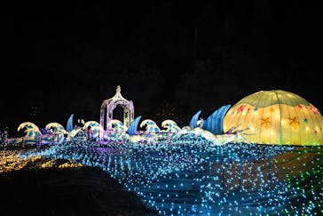 伊豆ぐらんぱる公園に投稿された画像（2022/12/29）