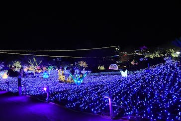 伊豆ぐらんぱる公園に投稿された画像（2022/12/29）