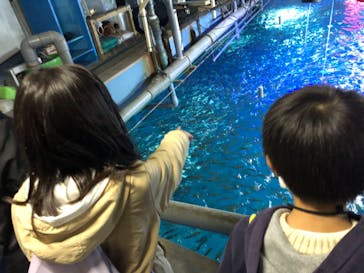 南知多ビーチランド＆南知多おもちゃ王国に投稿された画像（2022/12/29）