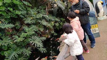 ゼロ距離水族館 伊勢シーパラダイスに投稿された画像（2022/12/29）