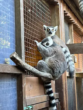 神戸どうぶつ王国に投稿された画像（2022/12/29）