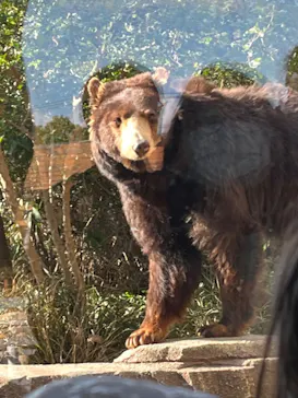 神戸どうぶつ王国に投稿された画像（2022/12/29）