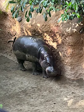 神戸どうぶつ王国に投稿された画像（2022/12/29）