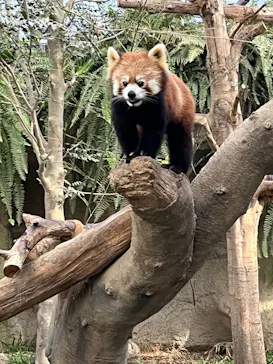神戸どうぶつ王国に投稿された画像（2022/12/29）