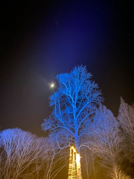 いばらきフラワーパークに投稿された画像（2022/12/29）