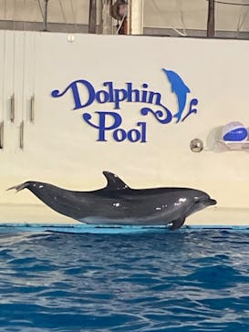 登別マリンパークニクスに投稿された画像（2022/12/29）