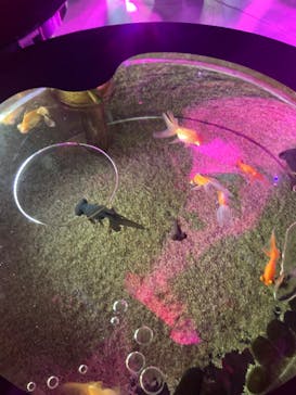 登別マリンパークニクスに投稿された画像（2022/12/29）