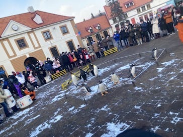 登別マリンパークニクスに投稿された画像（2022/12/29）