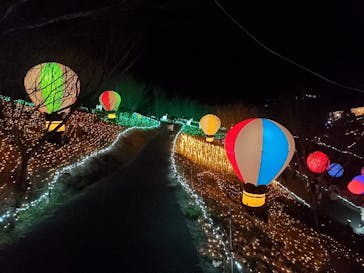 さがみ湖MORI MORIに投稿された画像（2022/12/29）