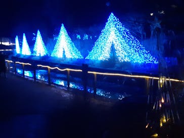 KYOTO ILLUMINATION SYNESTHESIA HILLS るり渓温泉に投稿された画像（2022/12/29）