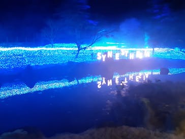 KYOTO ILLUMINATION SYNESTHESIA HILLS るり渓温泉に投稿された画像（2022/12/29）