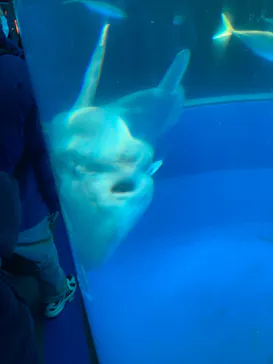 横浜・八景島シーパラダイスに投稿された画像（2022/12/29）