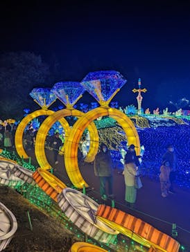 伊豆ぐらんぱる公園に投稿された画像（2022/12/29）