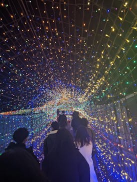 伊豆ぐらんぱる公園に投稿された画像（2022/12/29）