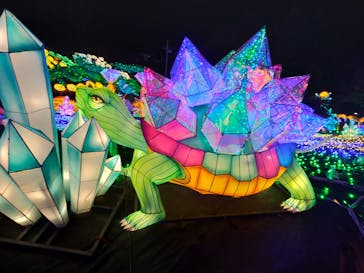 伊豆ぐらんぱる公園に投稿された画像（2022/12/29）