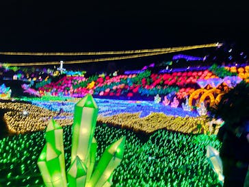 伊豆ぐらんぱる公園に投稿された画像（2022/12/29）