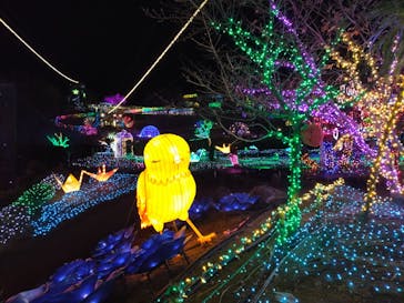 伊豆ぐらんぱる公園に投稿された画像（2022/12/29）