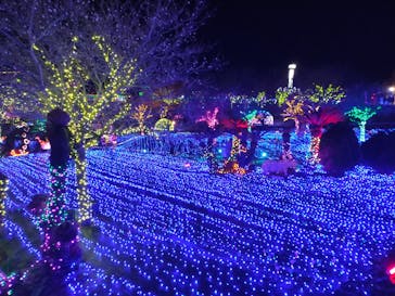 伊豆ぐらんぱる公園に投稿された画像（2022/12/29）